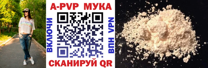 APVP СК  Плёс 