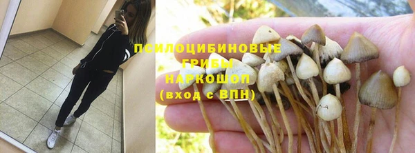 сатива Беломорск