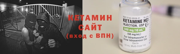 сатива Беломорск