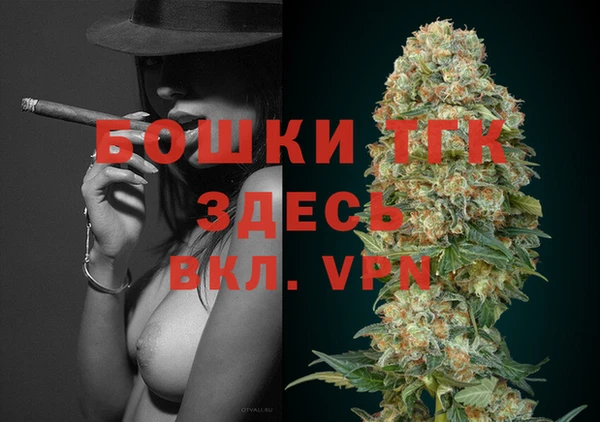 сатива Беломорск