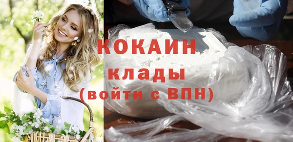 сатива Беломорск