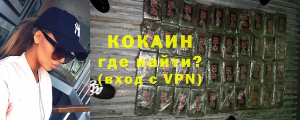 сатива Беломорск