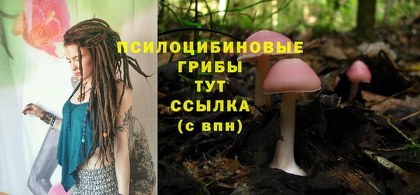 сатива Беломорск