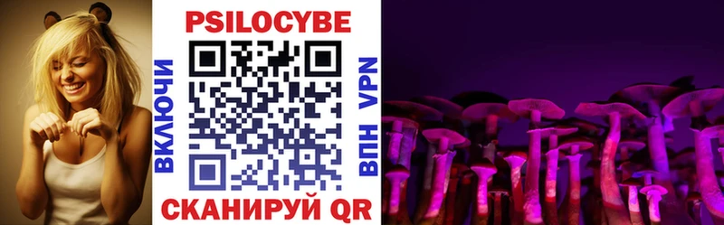 Галлюциногенные грибы Psilocybine cubensis  Плёс 
